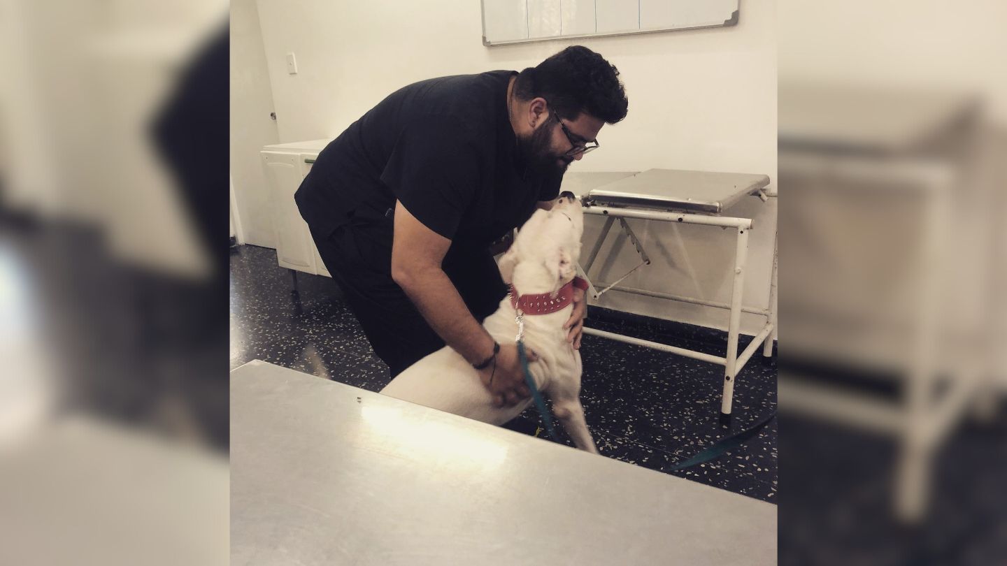 Investigación sobre veterinaria privada en Cuba revela su privilegiada relación con el régimen