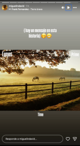 (Captura de pantalla © Miguelin David - Instagram) 