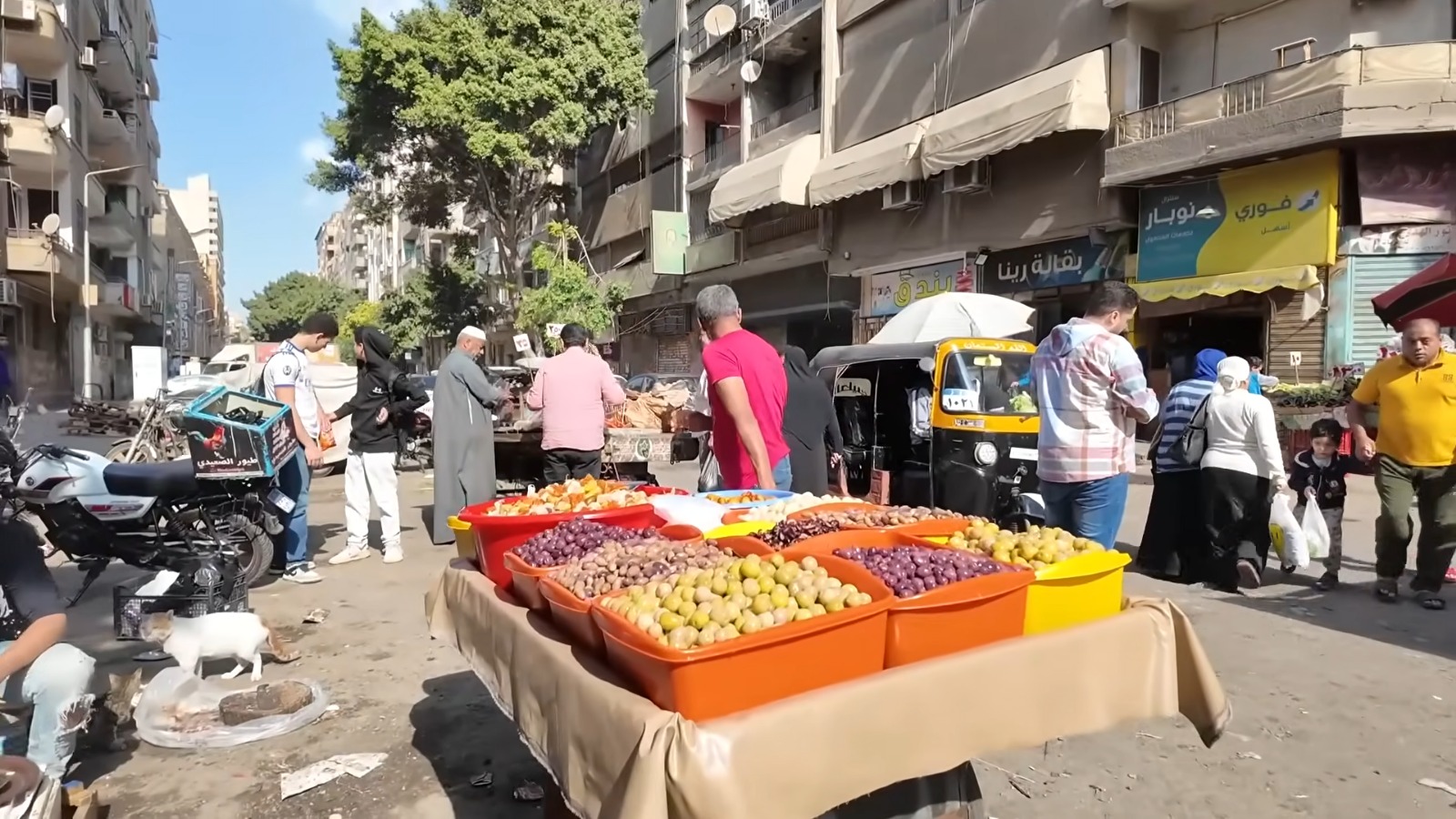 Youtuber cubano visita Egipto sin visa y descubre que se parece mucho a Cuba 3