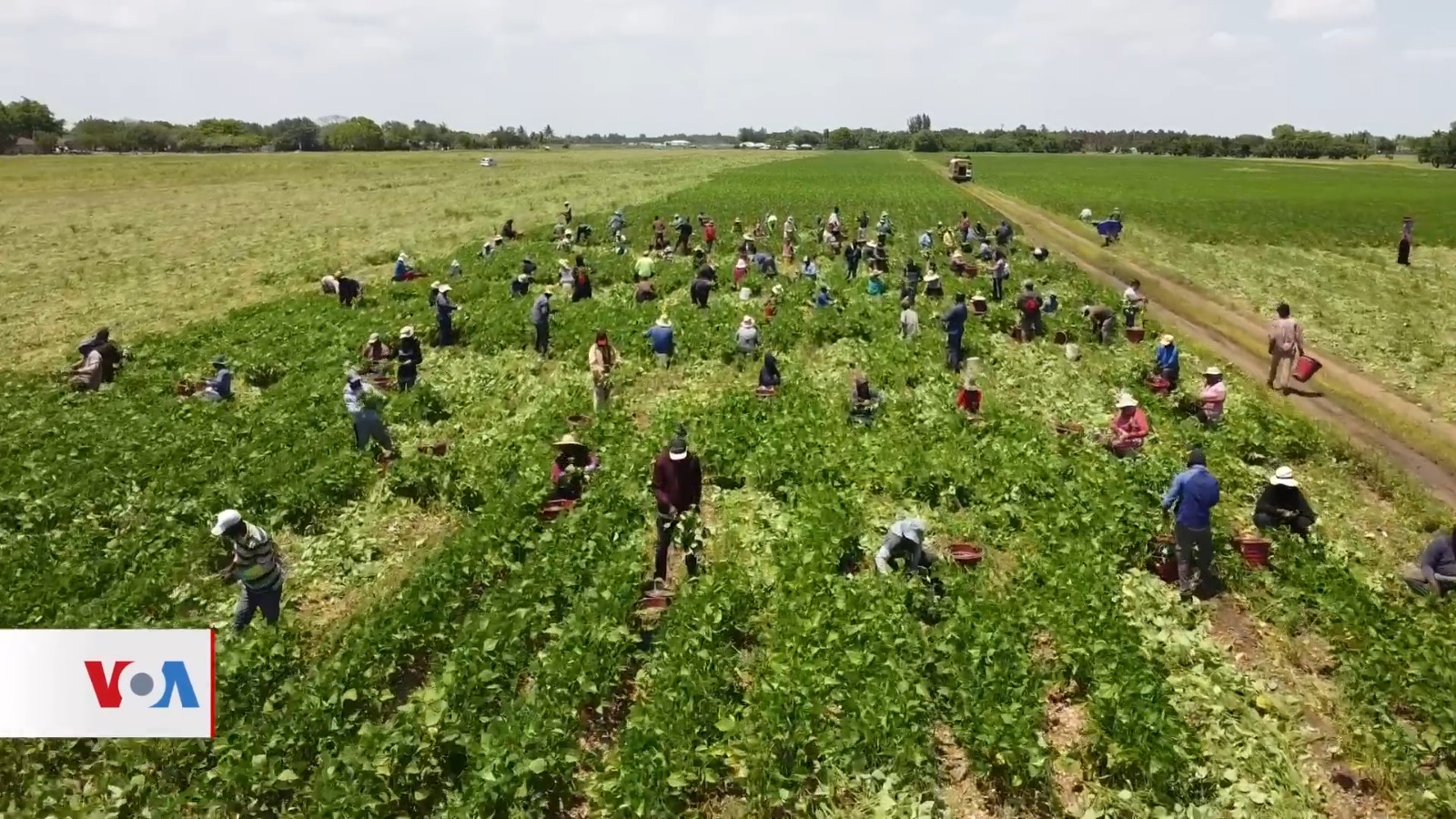 EEUU aumenta al doble la cantidad de visas para trabajadores temporales