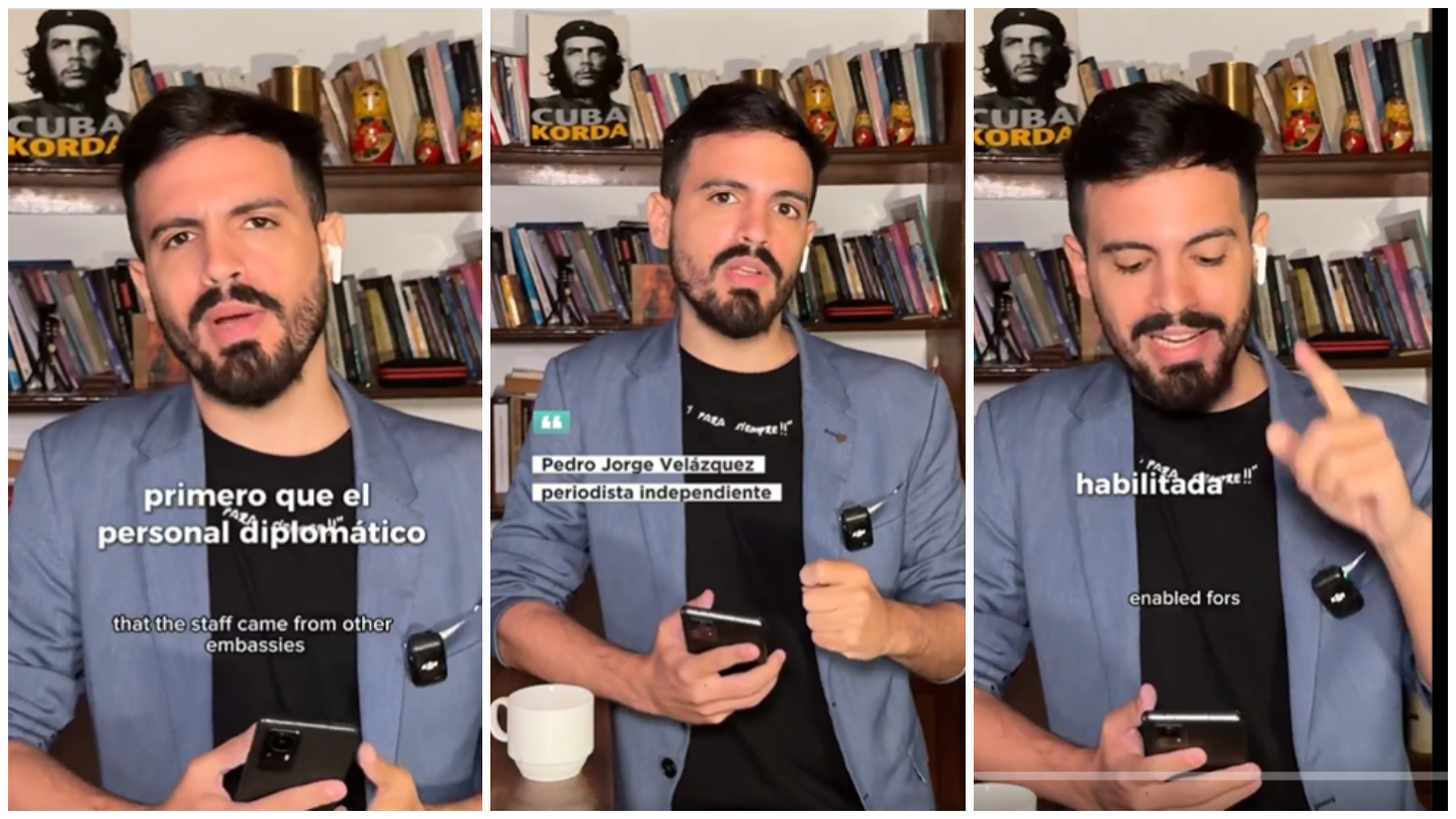 El necio