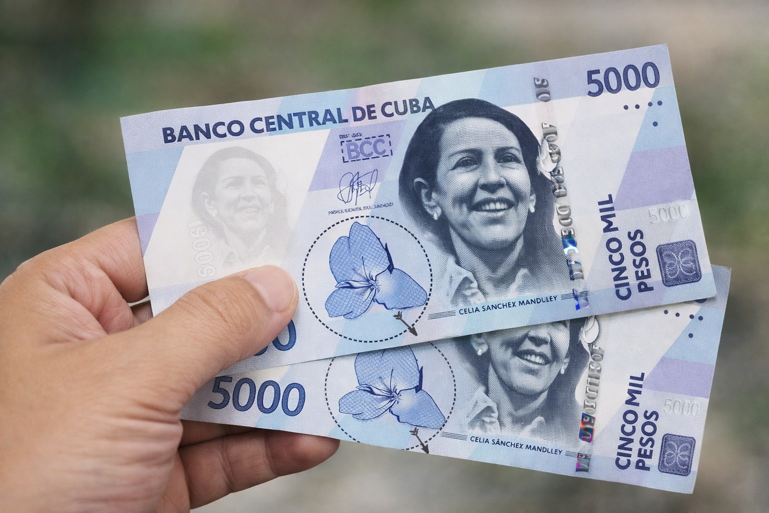 Banco Central de Cuba anuncia circulación de nuevos billetes de 2.000 y 5.000 CUP
