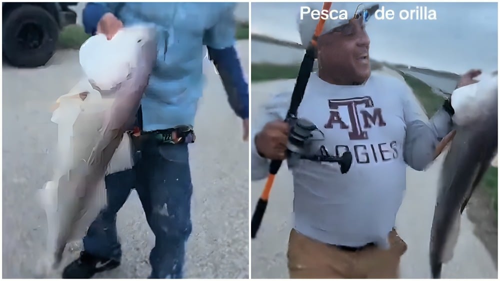 Cubanos atrapan enorme pez con la técnica de pesca de orilla