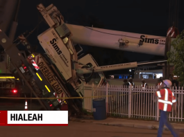 Cae enorme grúa en Hialeah afecta autos y casas