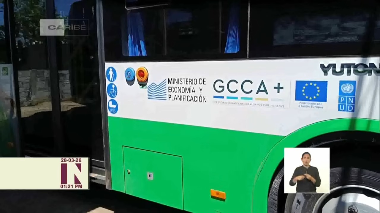 Cuba destina 1.000 cerdos para mover cinco ómnibus de transporte urbano