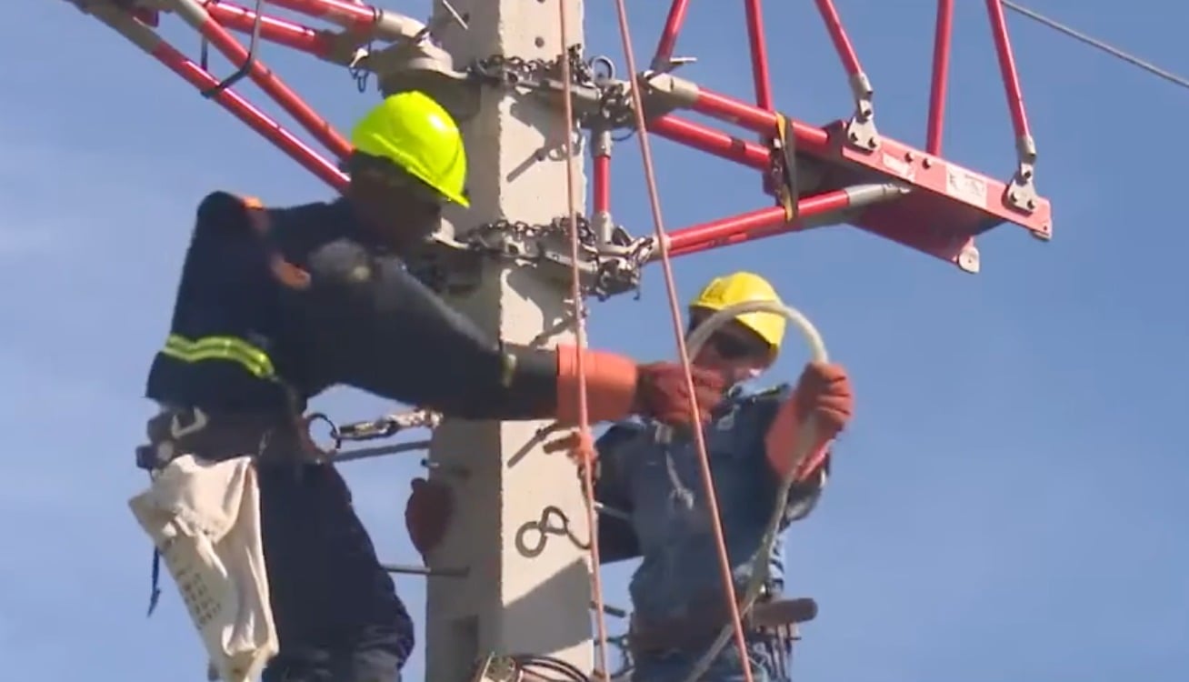 Dos lagartos dejan sin luz a un barrio de La Habana, según la Empresa Eléctrica