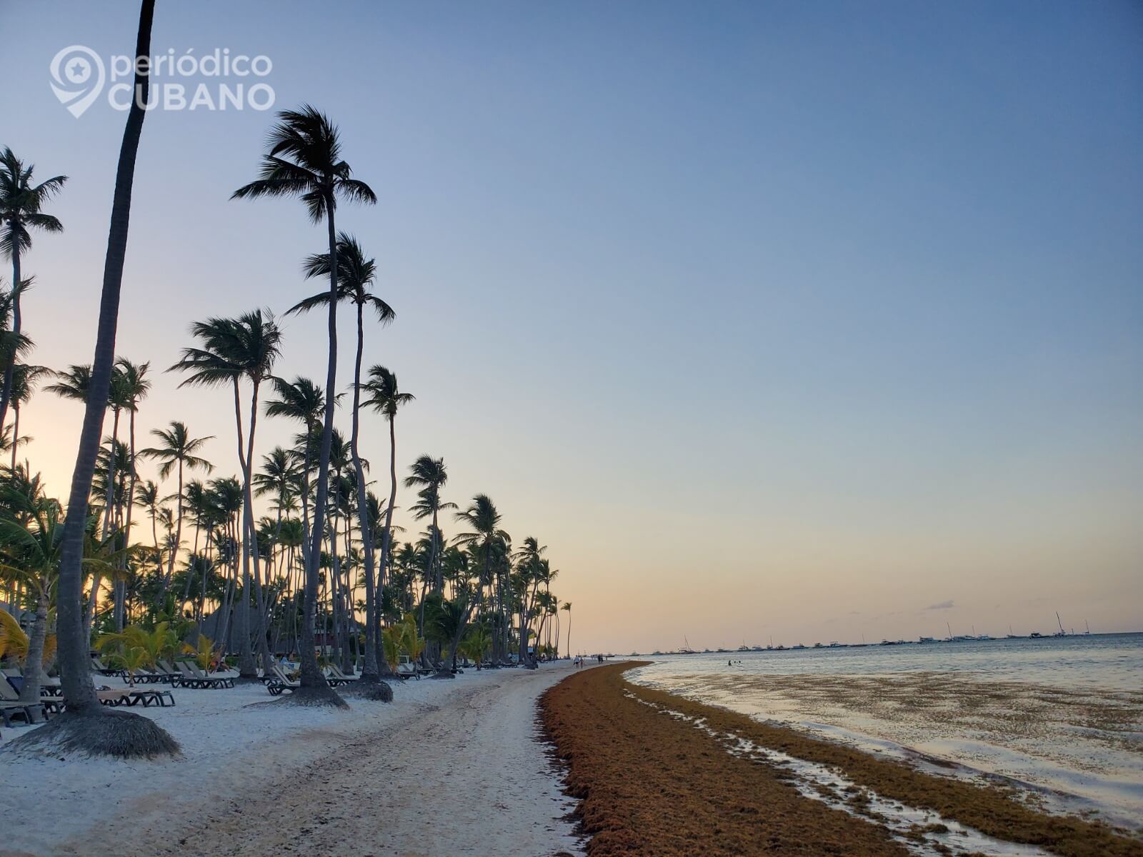 Estafan a familia cubana en Miami con unas vacaciones de 6.000 dólares en Punta Cana