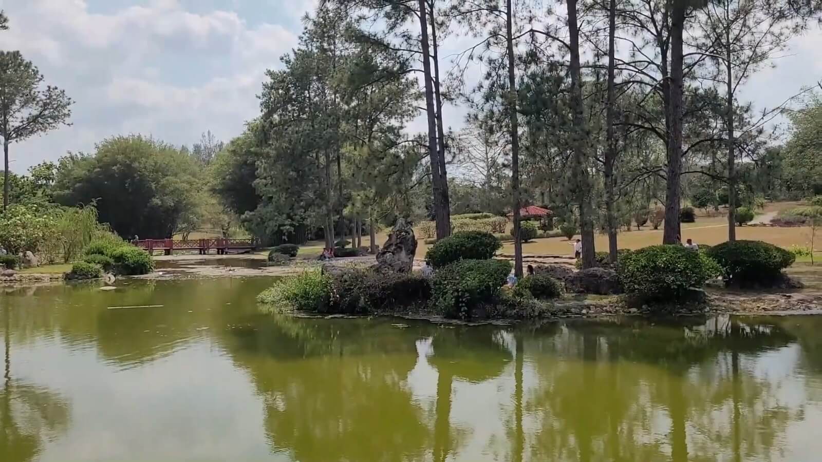 Jardín Botánico Nacional, crisis energética, falta de combustible, Universidad de La Habana, La Habana