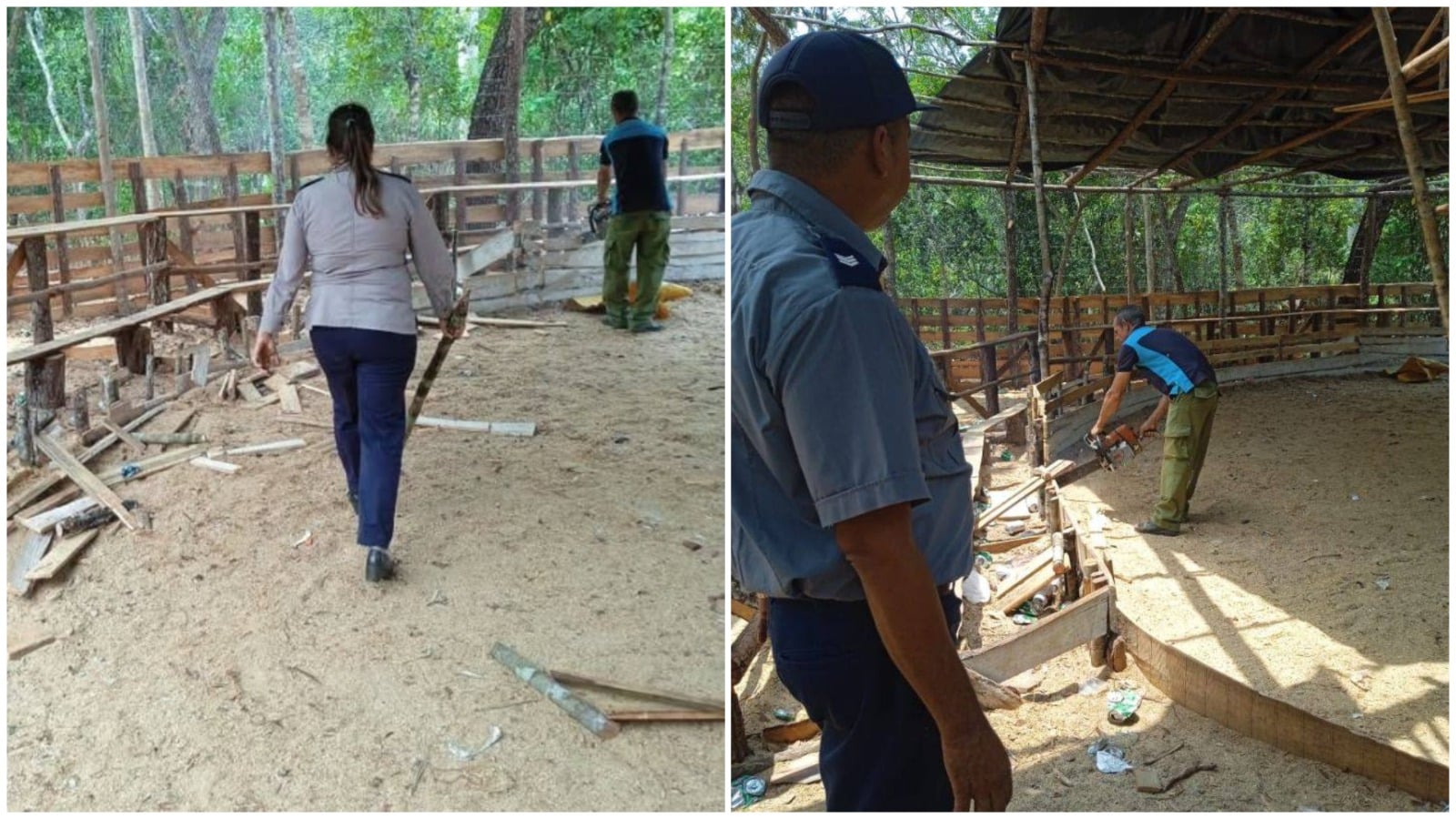 Operativo policial desarticula una valla de gallos en Pinar del Río
