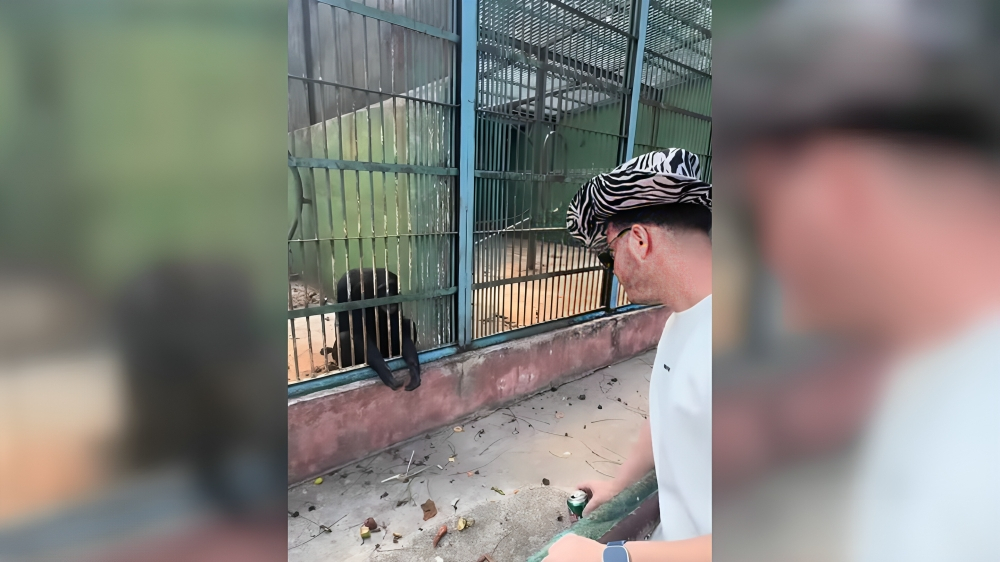 Sandro Castro usa animales del zoológico de La Habana para burlarse del régimen (1)