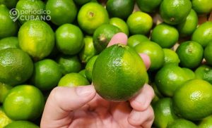 escasez de comida en Cuba