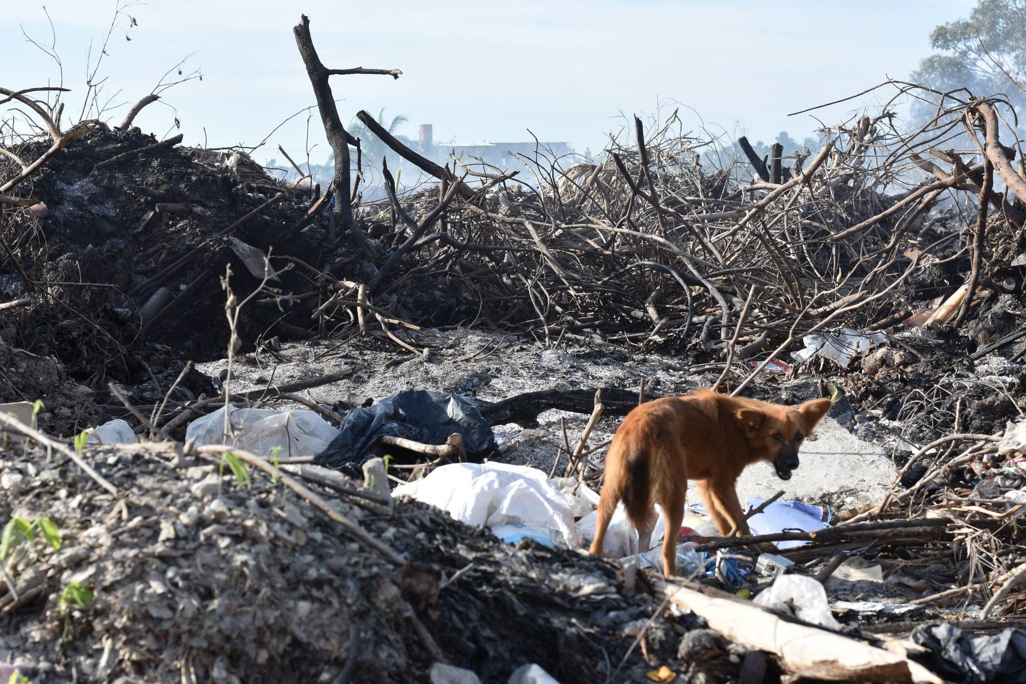 Brotes de hepatitis infectan a Cuba y exponen el colapso sanitario del país