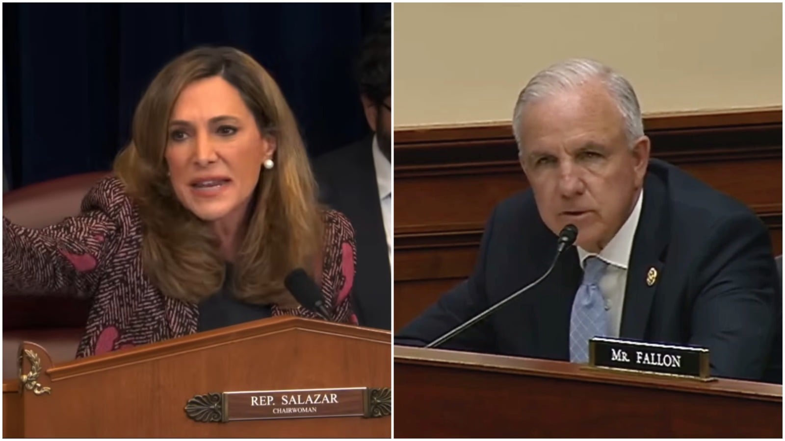 Nuevo mapa electoral de Florida beneficia a María Elvira Salazar y Carlos Giménez