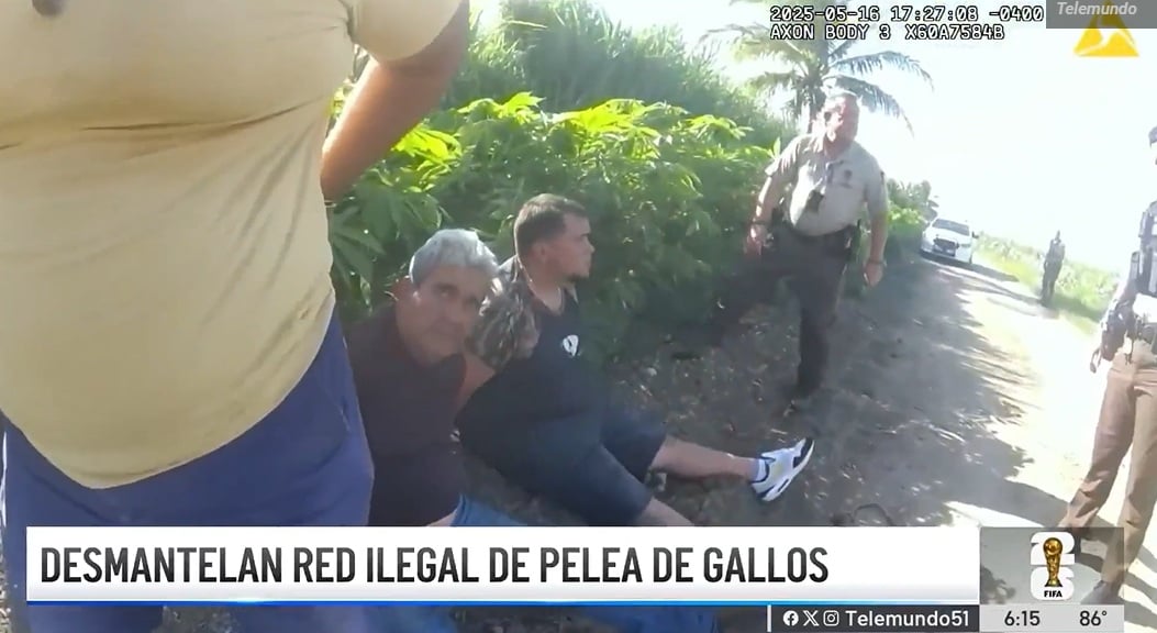 Revelan videos del arresto de cubanos en una pelea de gallos en Miami-Dade