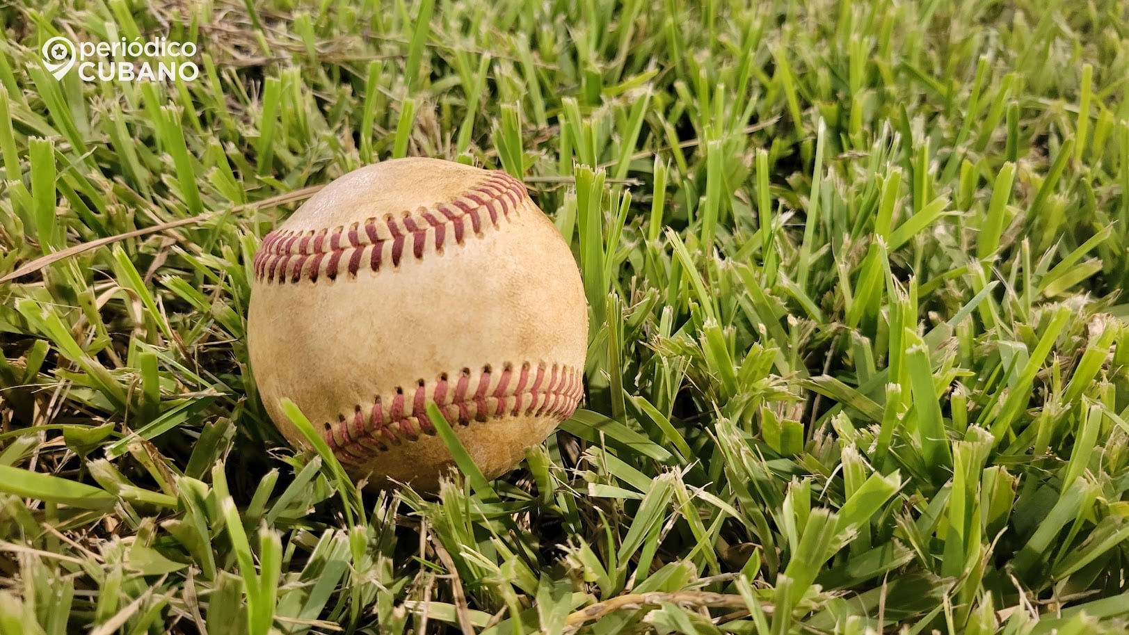 Suspenden juego de la Liga Élite de Béisbol por enfermedad que afectó a jugadores de ambos equipos
