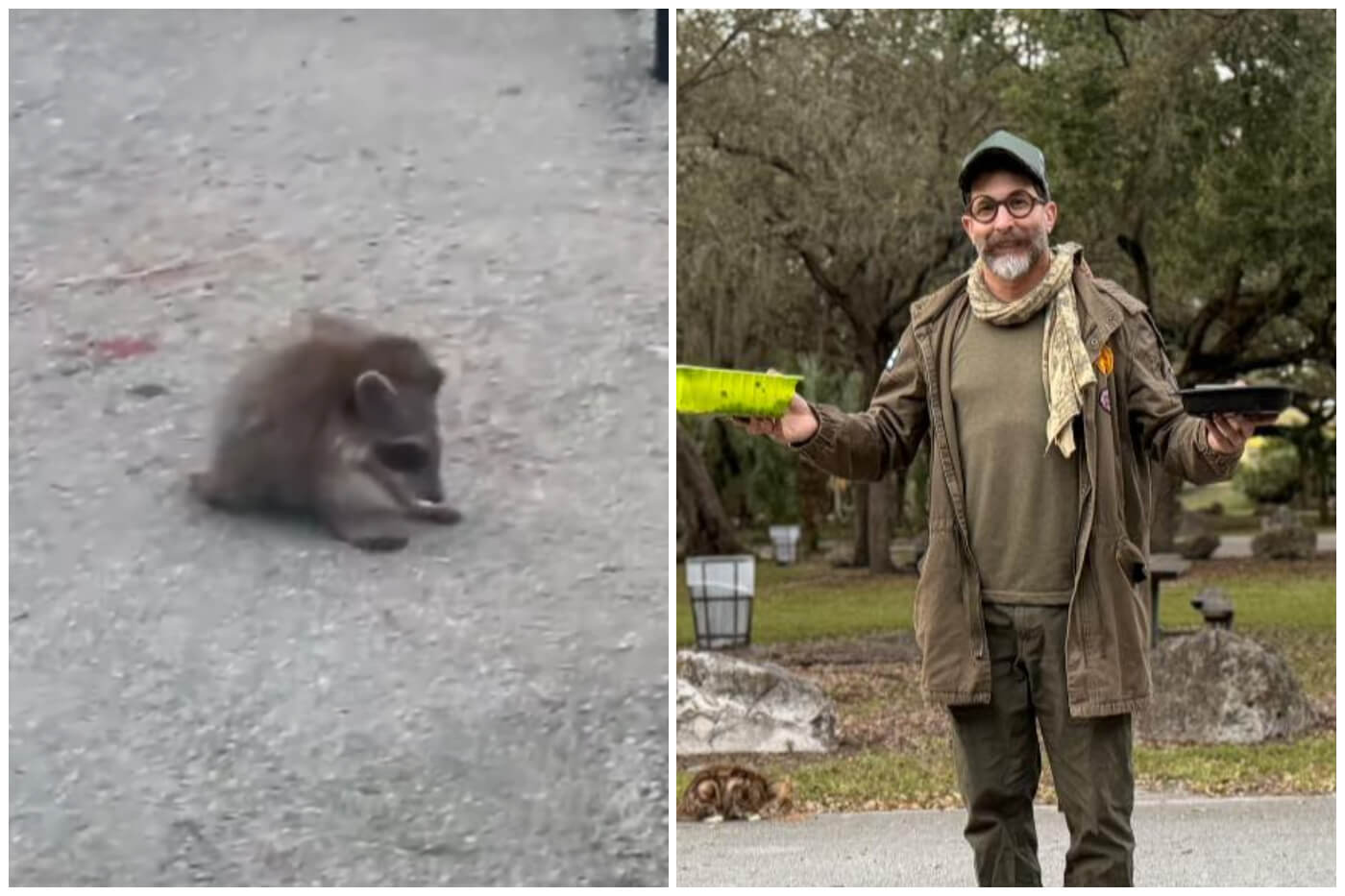 El actor lleva meses ayudando a animales callejeros. (Captura de pantalla© Ricardo Becerra Actor- Instagram/ Ricardo Becerra- Facebook)