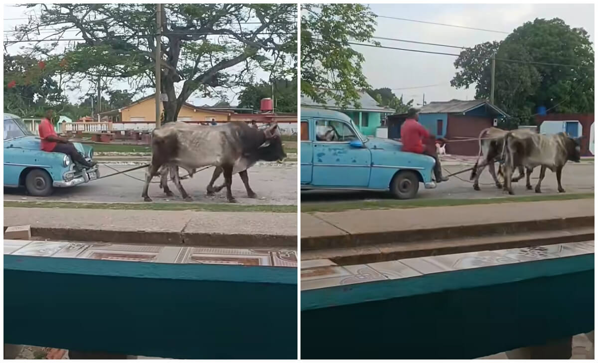 La imagen deja en evidencia la crisis de transporte en la Isla. (Captura de pantalla © YaniVlogs-Facebook)