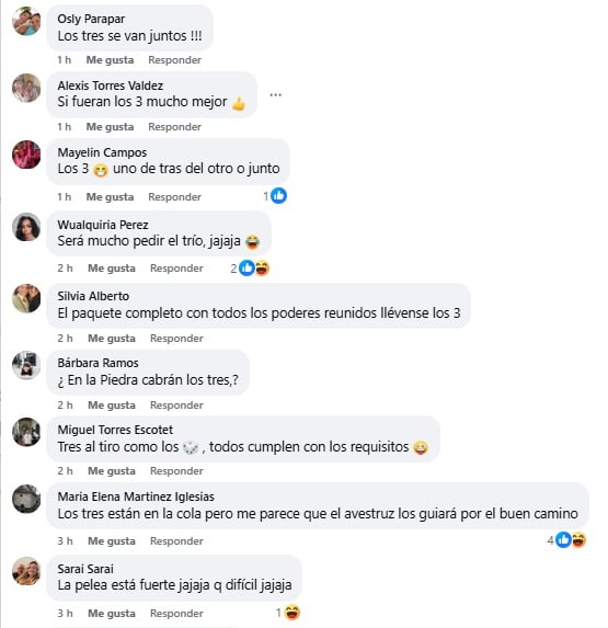 Algunos de los comentarios hechos en la peculiar encuesta. (Captura de pantalla © Periódico Cubano-Facebook)