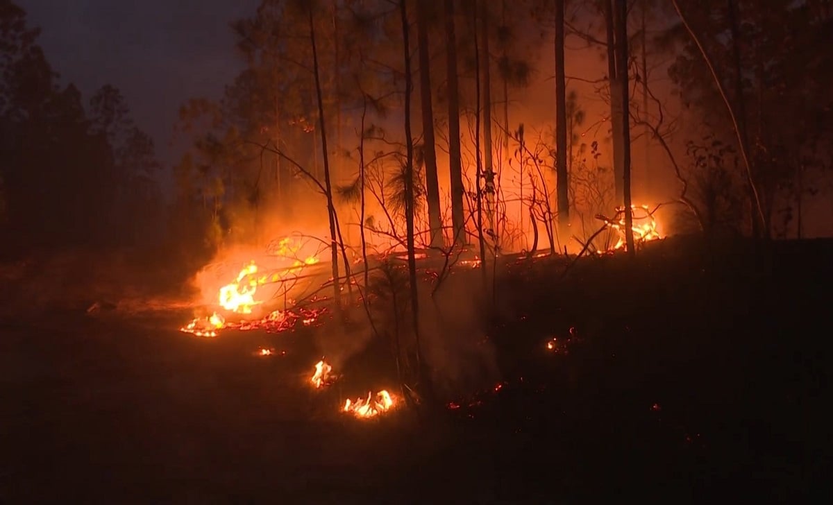 48 incendios en lo que va de 2026: Pinar del Río ha perdido 