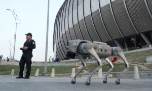 Perros robot en México