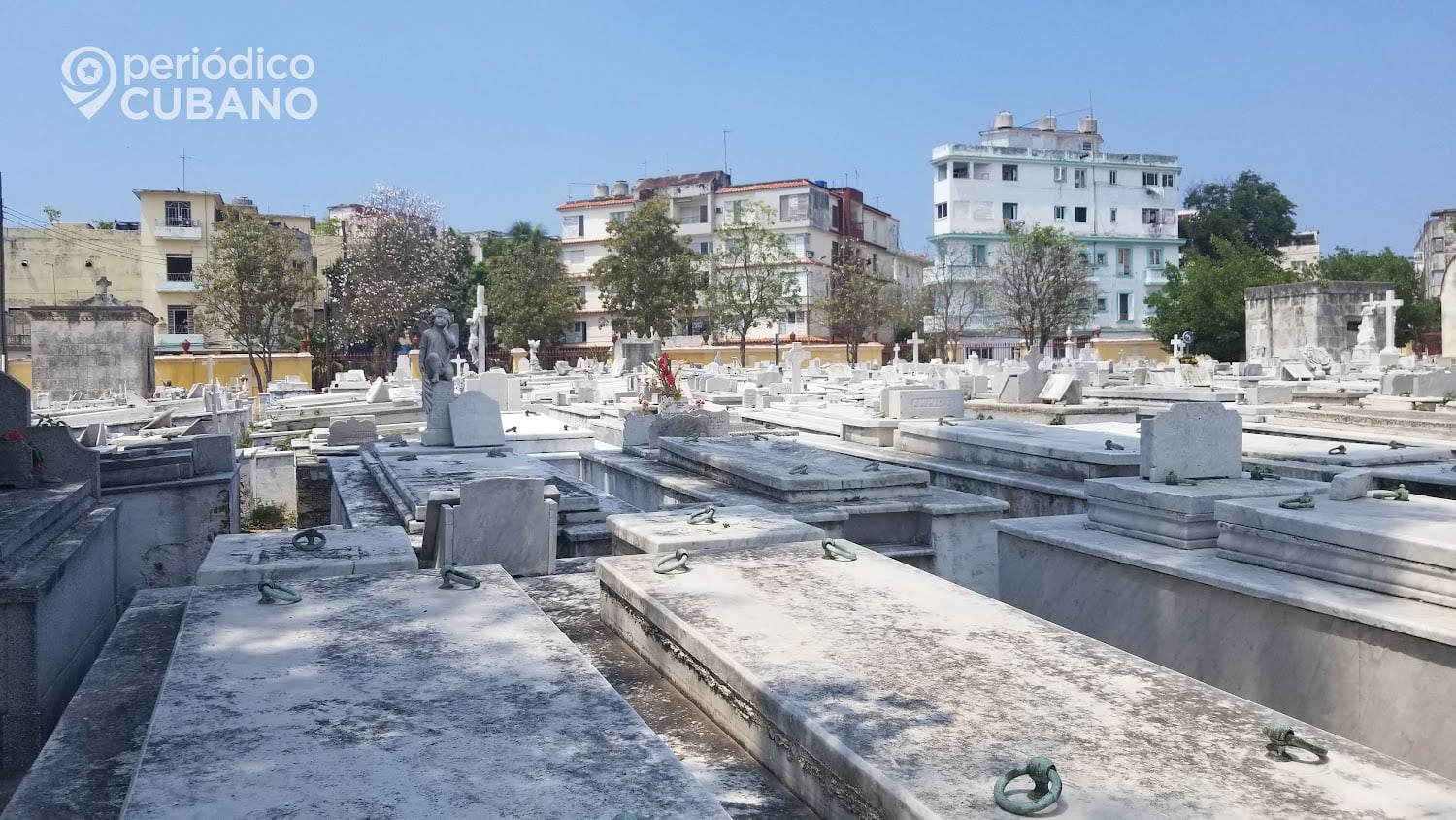 Tumbas en el cementerio de Colón.