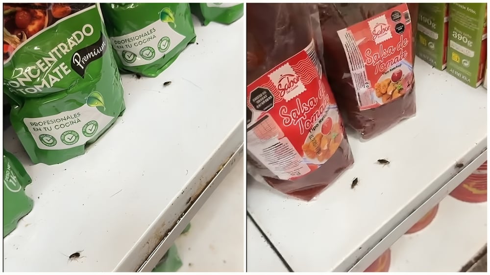 Denuncian plaga de cucarachas en la tienda Harris Brothers de La Habana
