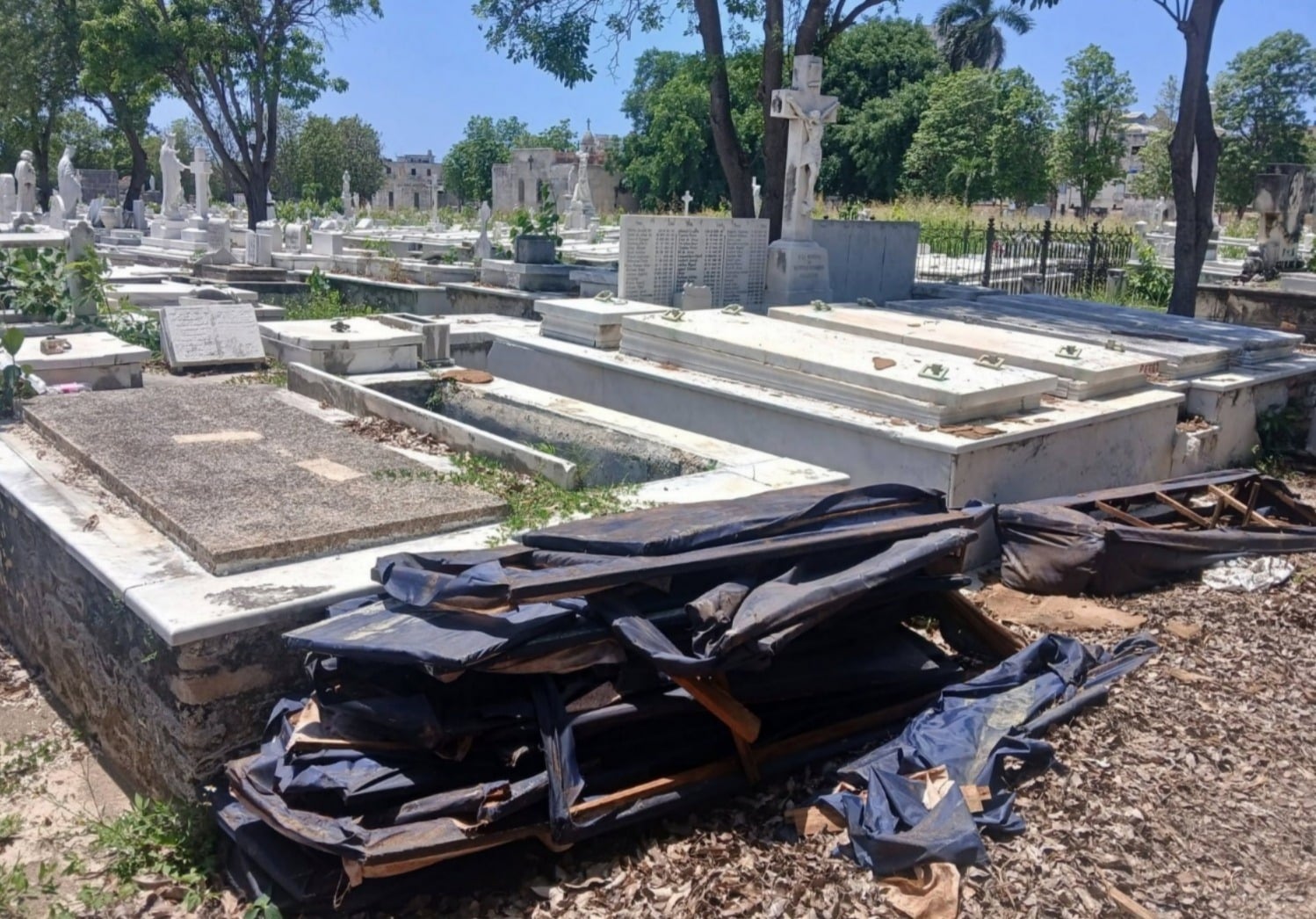 Imágenes causan indignación: denuncian abandono del Cementerio de Colón