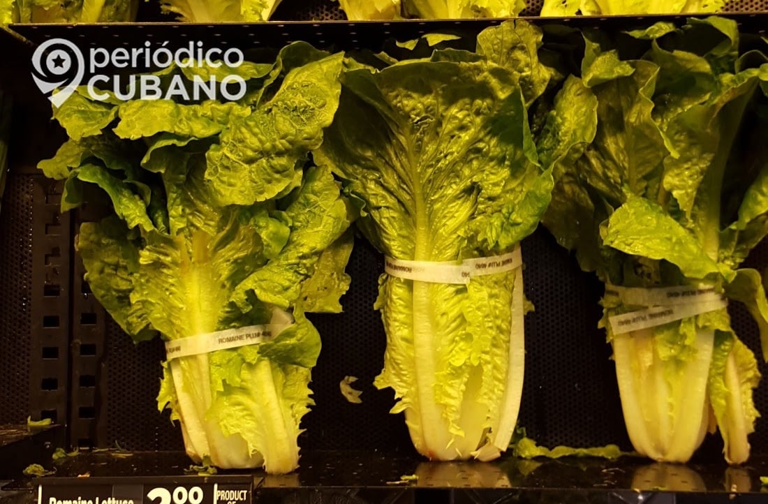 Imagen ilustrativa de unas lechugas en el supermercado.