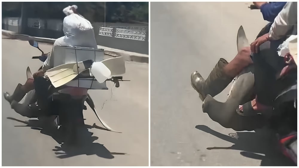 trasladan un tiburón martillo en moto por Varadero 