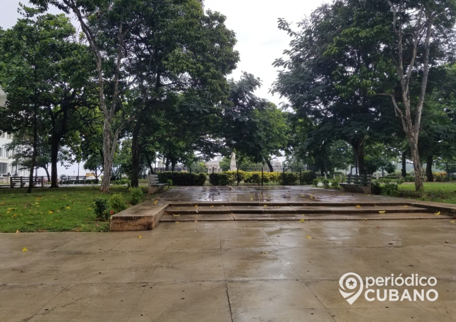 Denuncian cacería de aves en parque de La Habana