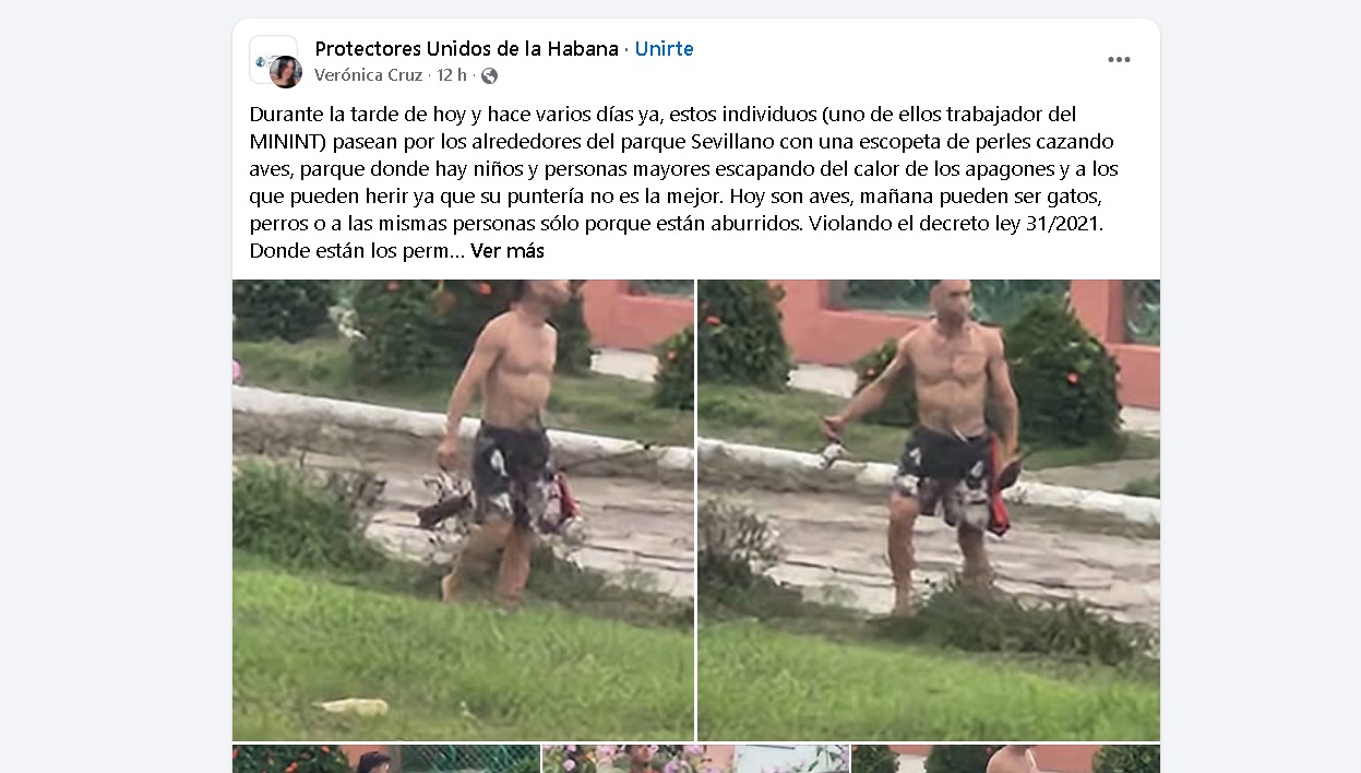 Hombres armados disparan contra aves en un parque habanero