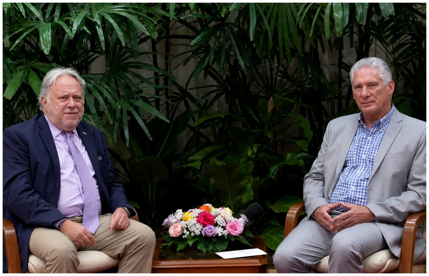 Díaz-Canel se reunió con el experto del Consejo de Derechos Humanos de la ONU, George Katrougalos.