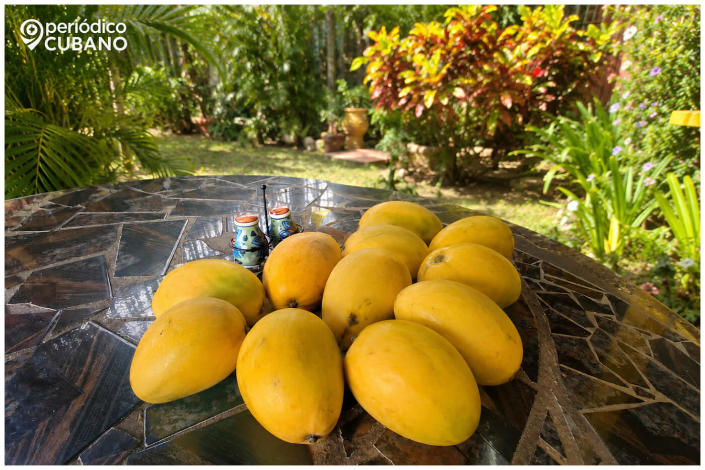 La mujer no rompió la ley, pues el árbol de mangos se encontraba en su propiedad.