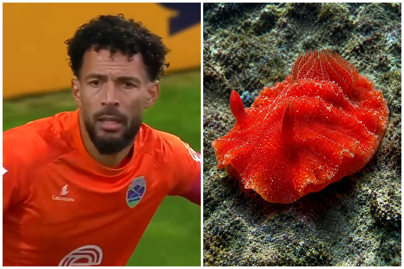 Vozinha, portero de Cabo Verde, se convirtió en una inspiración y un ejemplo de superación.