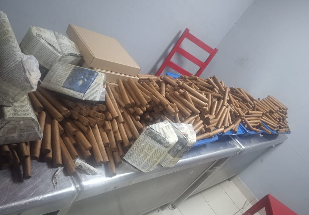 Tabacos decomisados por la Aduana de Cuba.