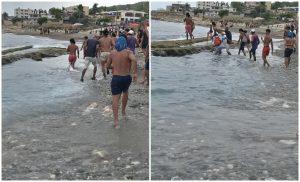 Tiburón en Playa Siboney (2)