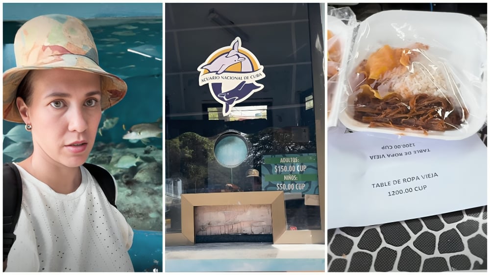 Acuario Nacional de Cuba: precios disparados convierten una salida familiar en un lujo