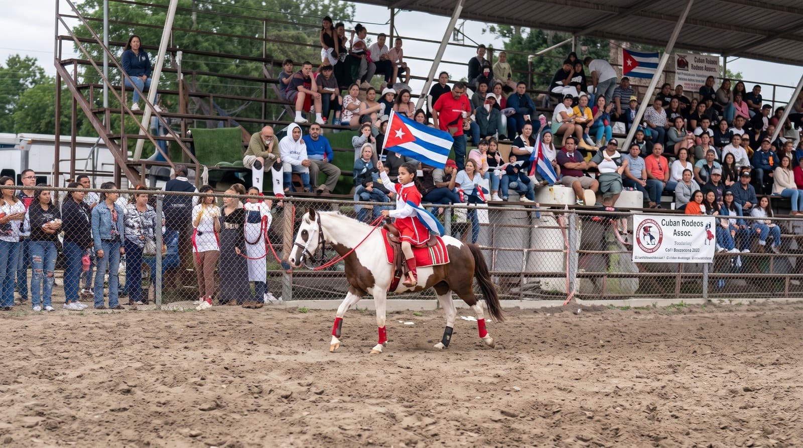 Roban caballo pinto de niña acróbata en Colón: piden ayuda para evitar una tragedia