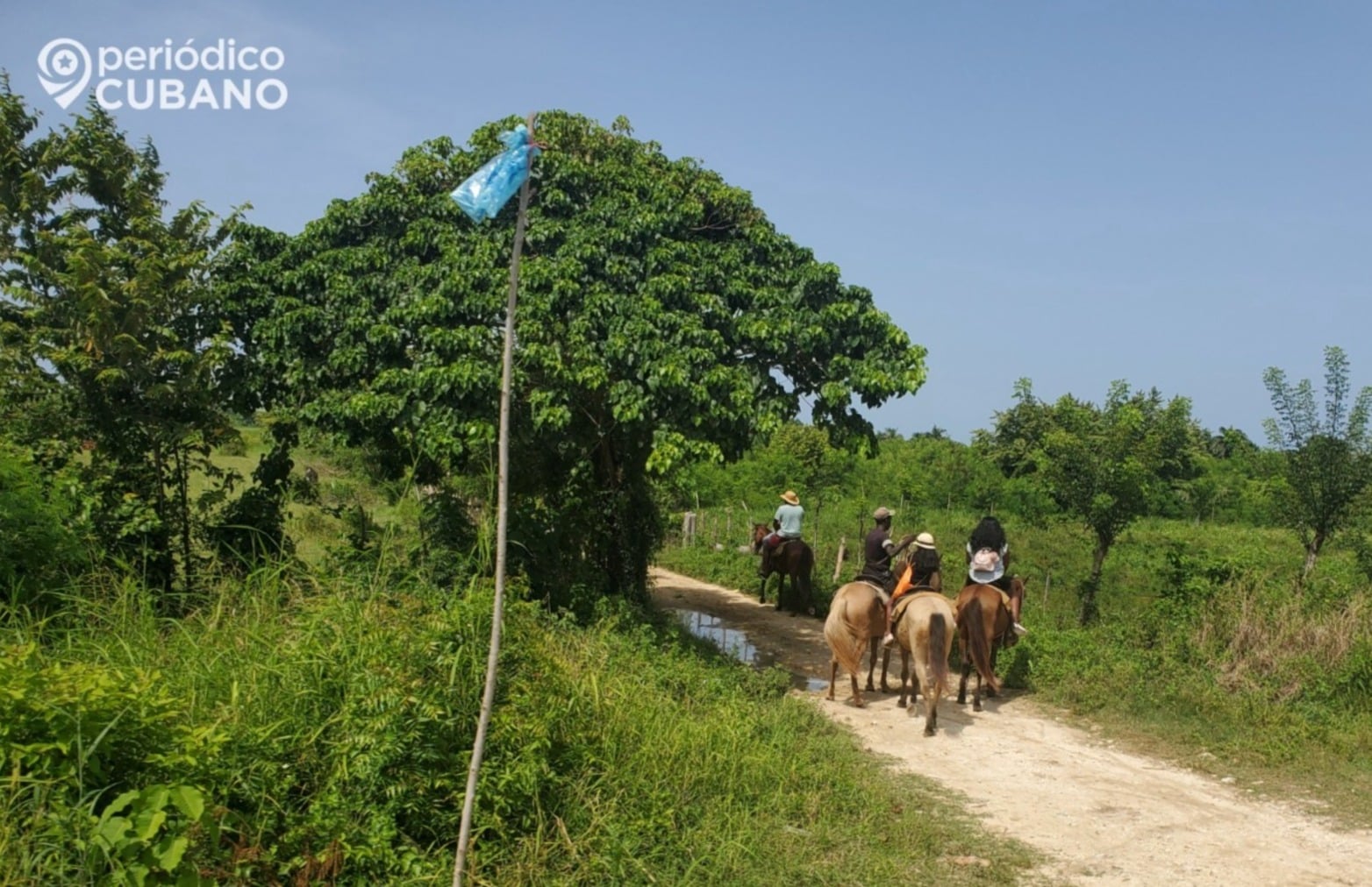 Cuba cambia quién puede tener, usar y heredar tierras