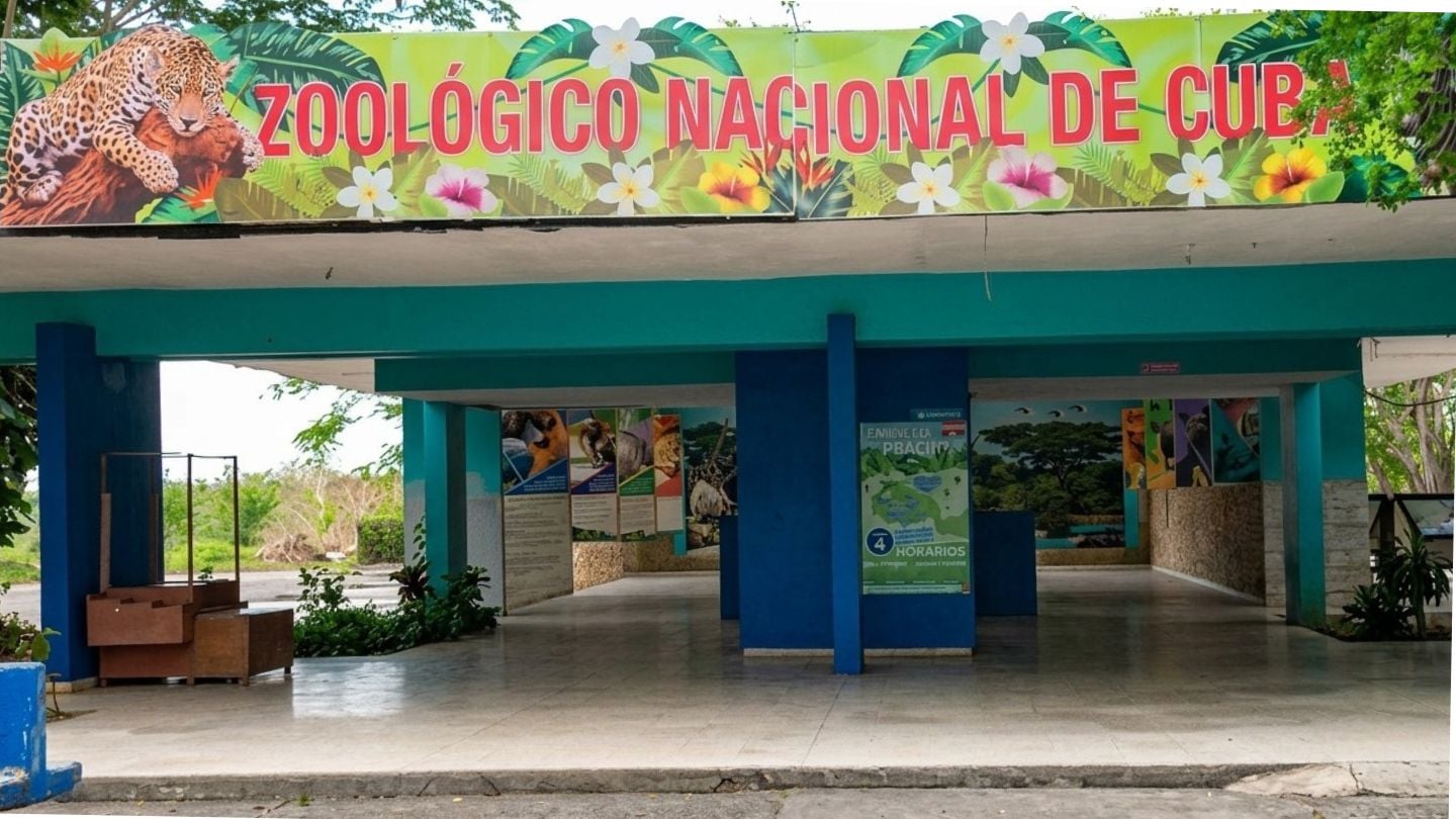 Parque Zoológico Nacional de Cuba anuncia cierre por tiempo indefinido