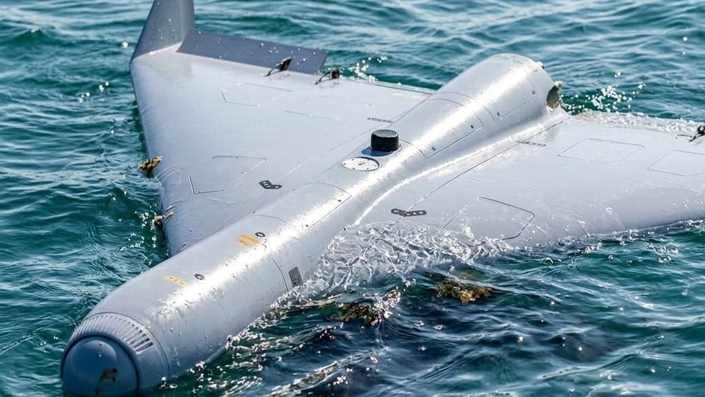 Pescadores de Florida hallan un dron parecido a los usados por Irán