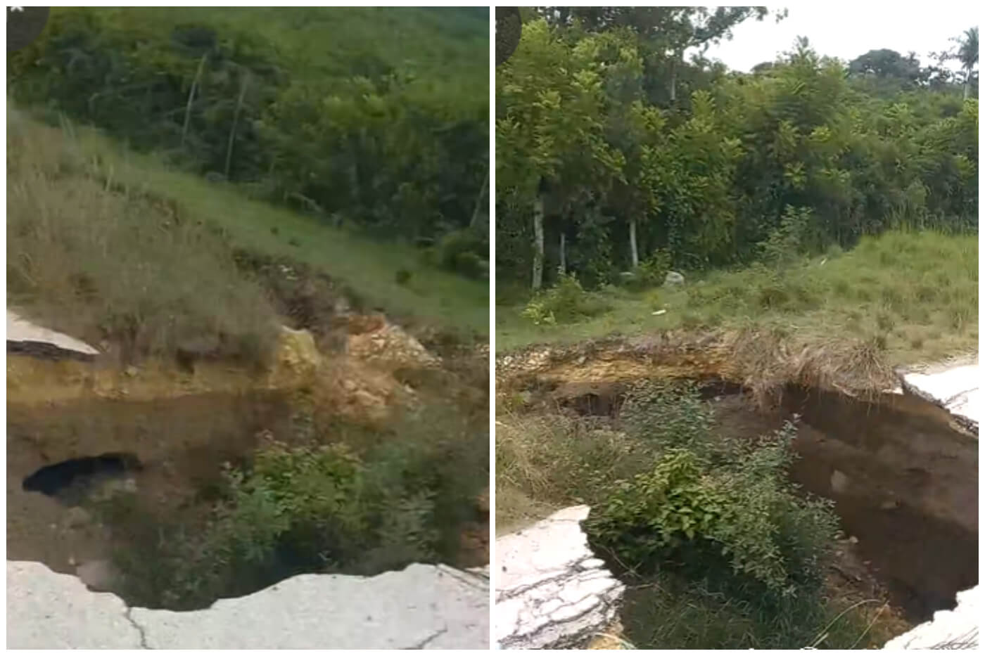 Bache enorme en Yaguajay