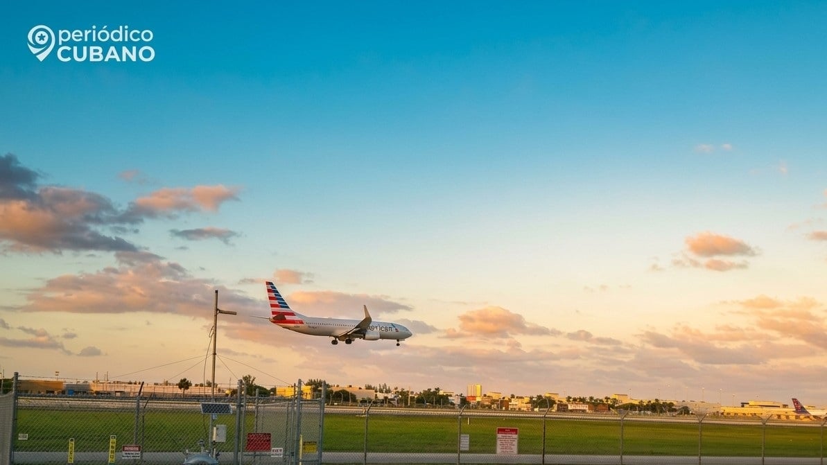 De Cuba a Miami con 11 aves ocultas así las escondió para intentar burlar a los agentes del aeropuerto