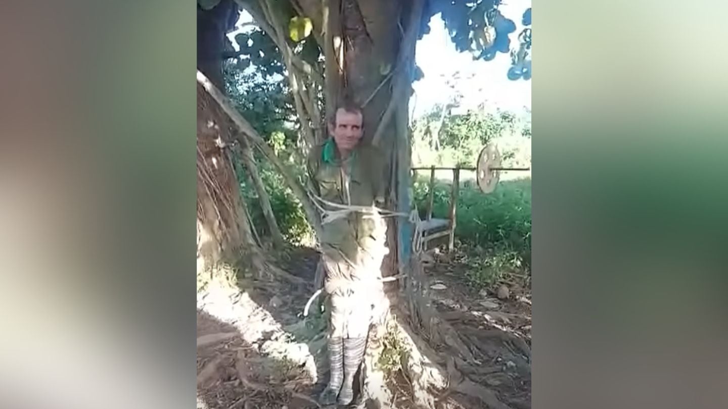 Intento de robo en Bejucal termina con dos prófugos y un hombre amarrado a un árbol